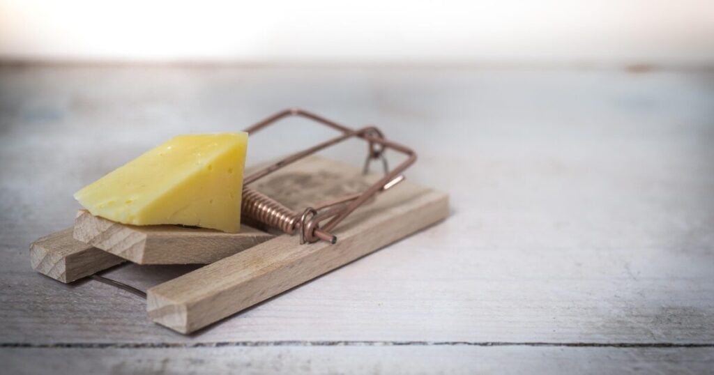 中国輸出の甘い罠とTikTokで売れるという幻想