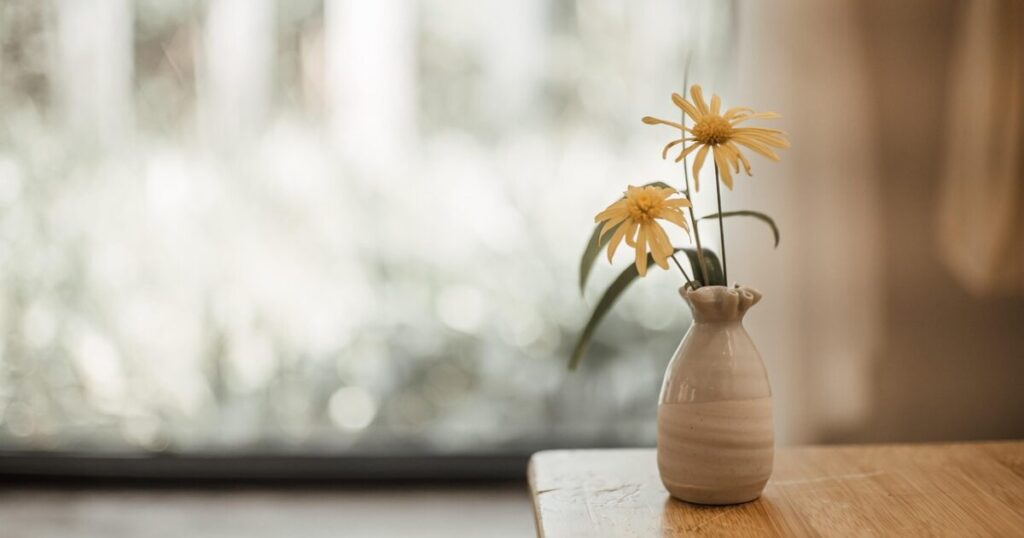 複雑な中国ECとは対照的なシンプルで簡単なShopeeのイメージ