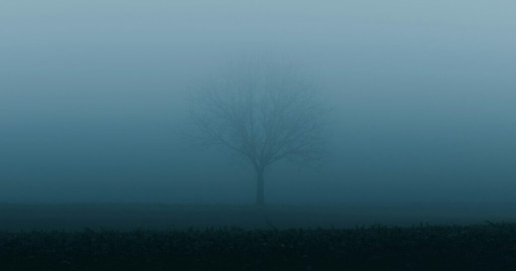 誰もいない霧の中の風景、アクセスがないWebページのメタファー