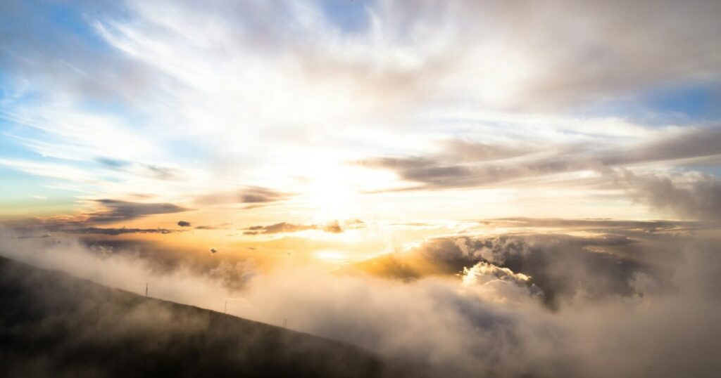 中身の伴わない名ばかりの日本製ブランドが市場の厳しい競争により淘汰されていく構造的課題のメタファー